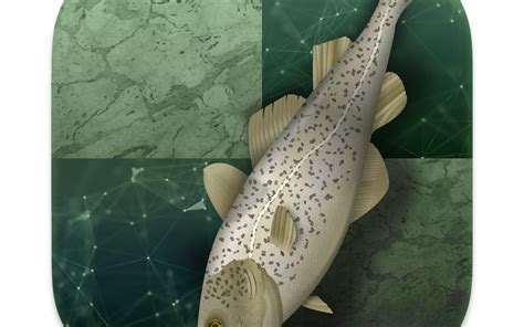 Lichess's Blog • Stockfish 14 has arrived! • lichess.org.